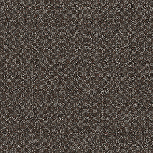 Third Space 303 Carpet tile in Brown