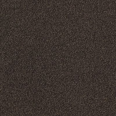 image Touch and Tones 101 Carpet Tile In Coffee num&eacute;ro 1