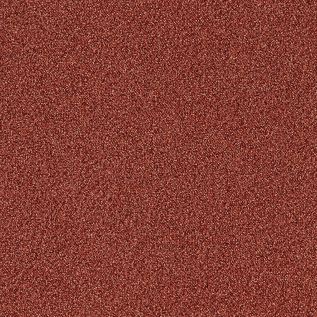Touch and Tones 101 Carpet Tile In Terracotta