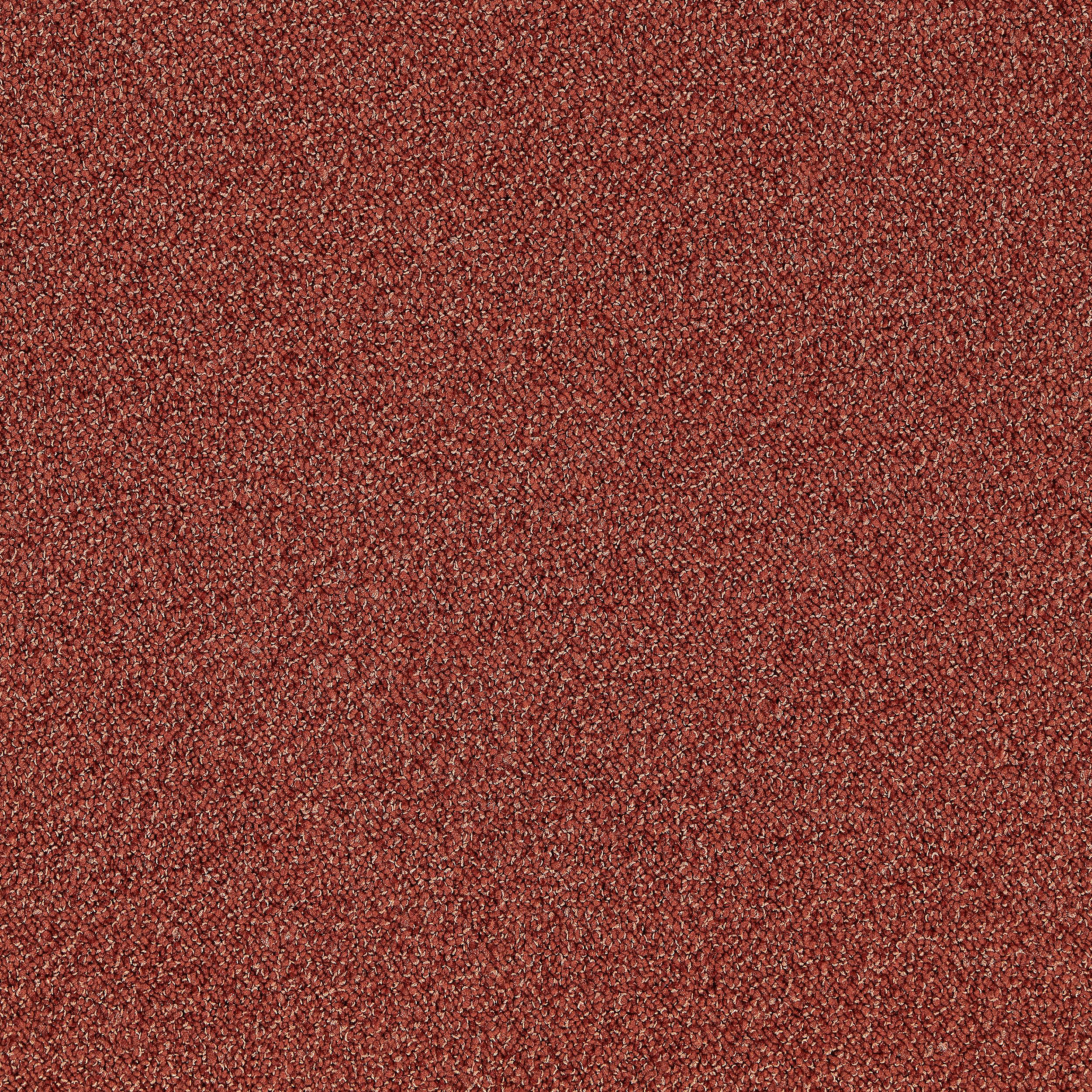 Touch and Tones 101 Carpet Tile In Terracotta image number 6