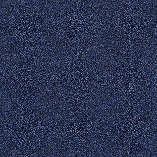 Touch and Tones 102 Carpet Tile In Sapphire
