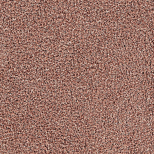image Touch and Tones 103 Carpet Tile In Blush numéro 6