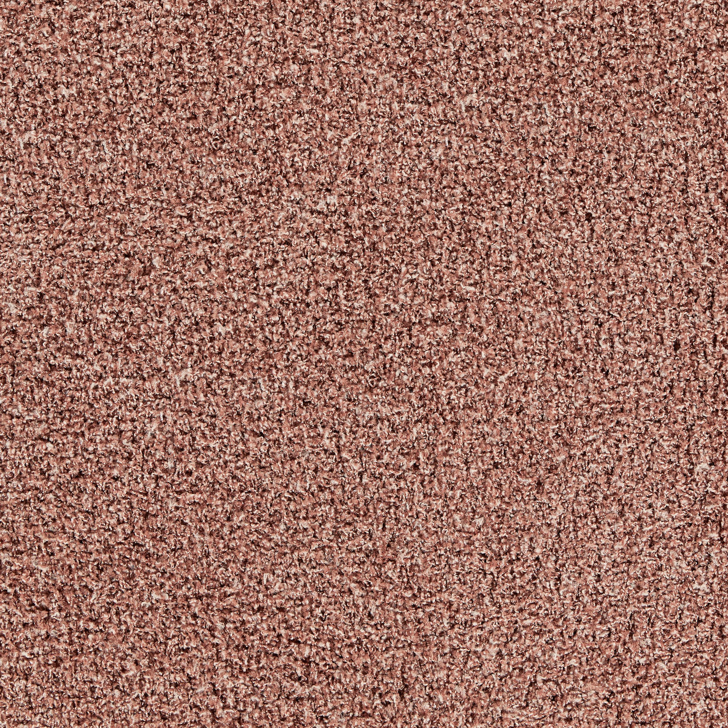 Touch and Tones 103 Carpet Tile In Blush image number 2
