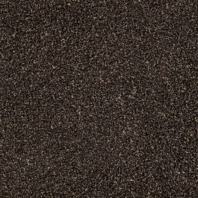 Touch and Tones 103 Carpet Tile In Coffee