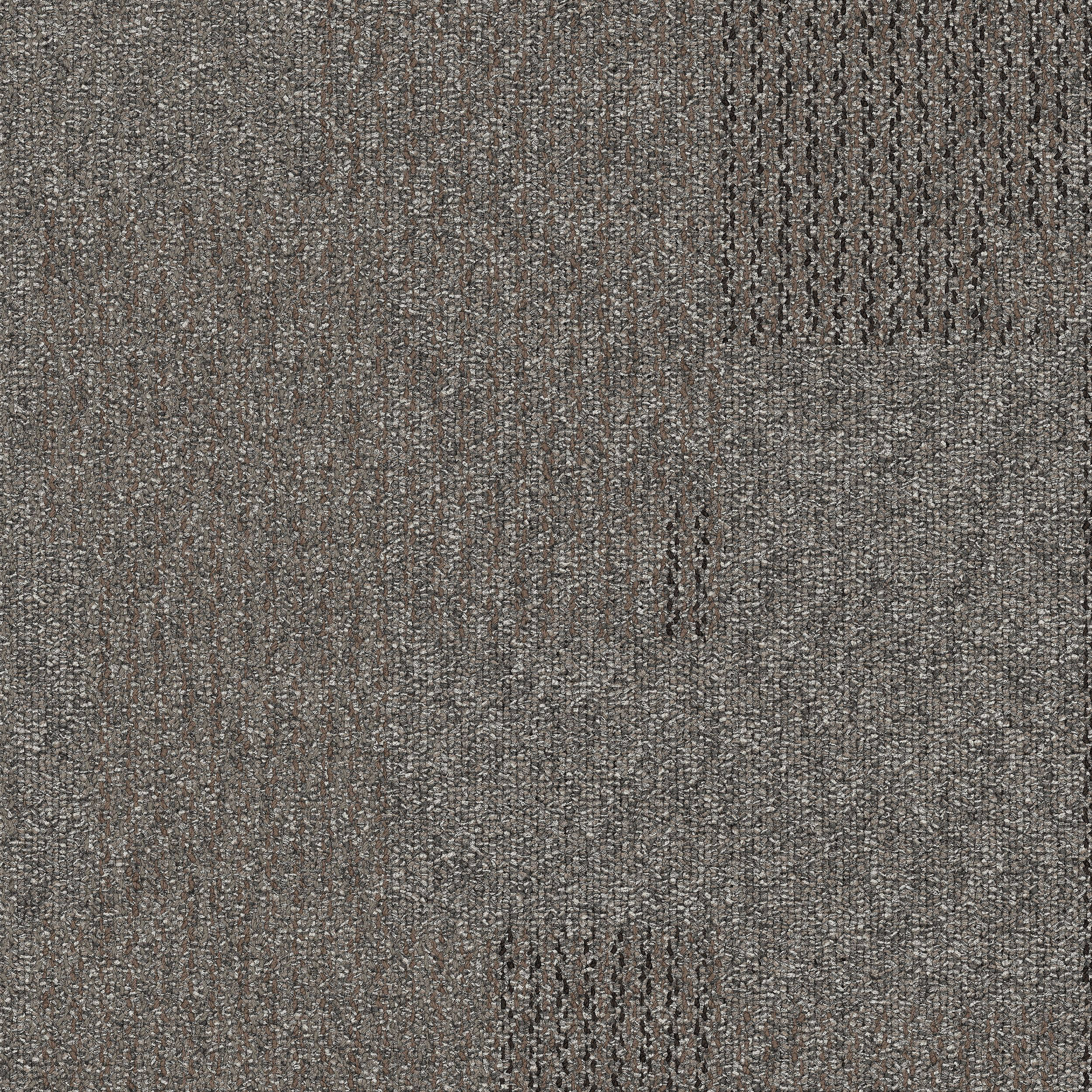 Transformation Carpet Tile In Plantation image number 7