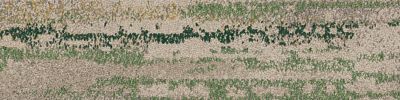 Undulating Water carpet tile in Rainforest