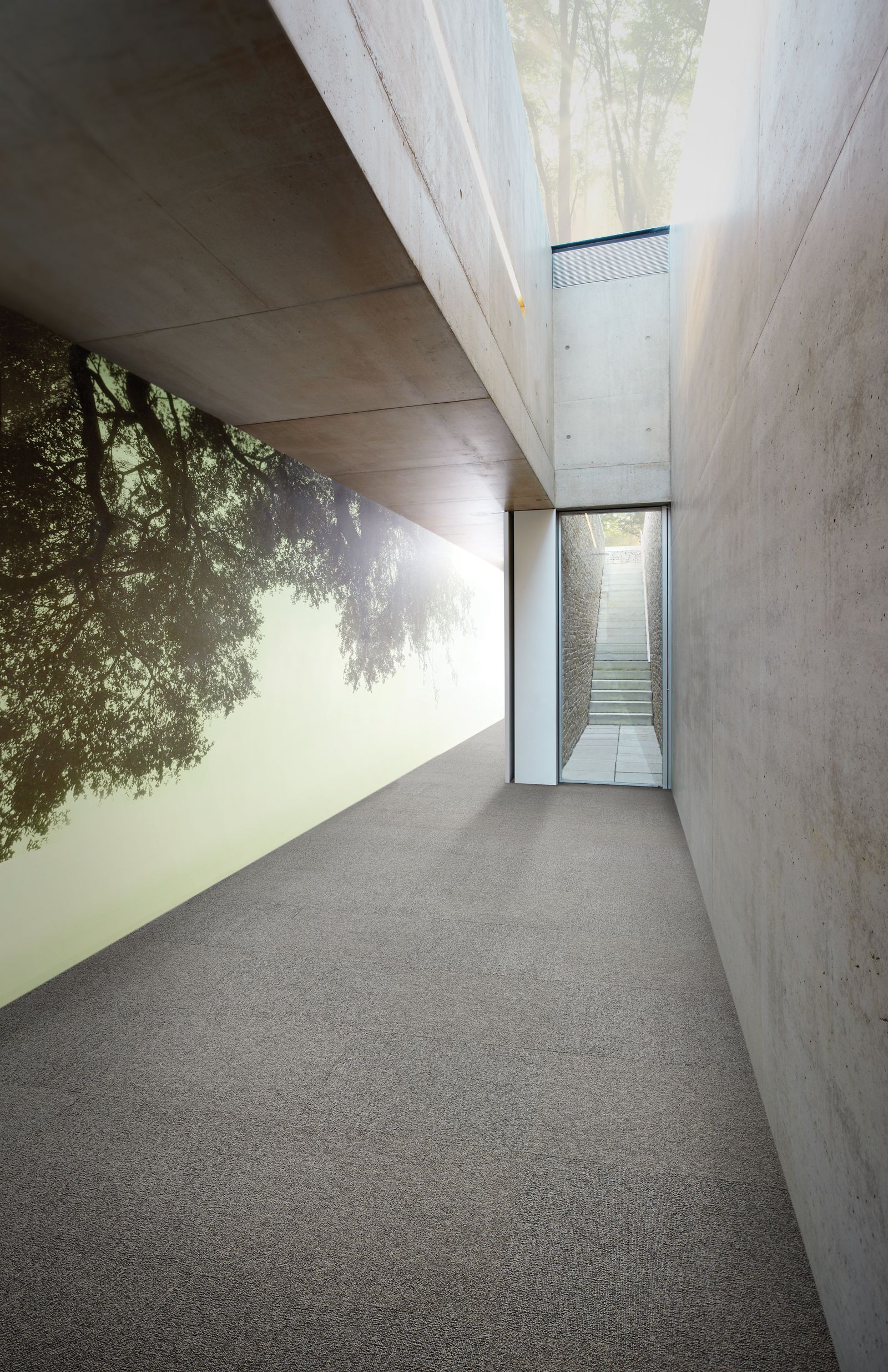 Interface UR302 carpet tile in corridor with concrete walls image number 7