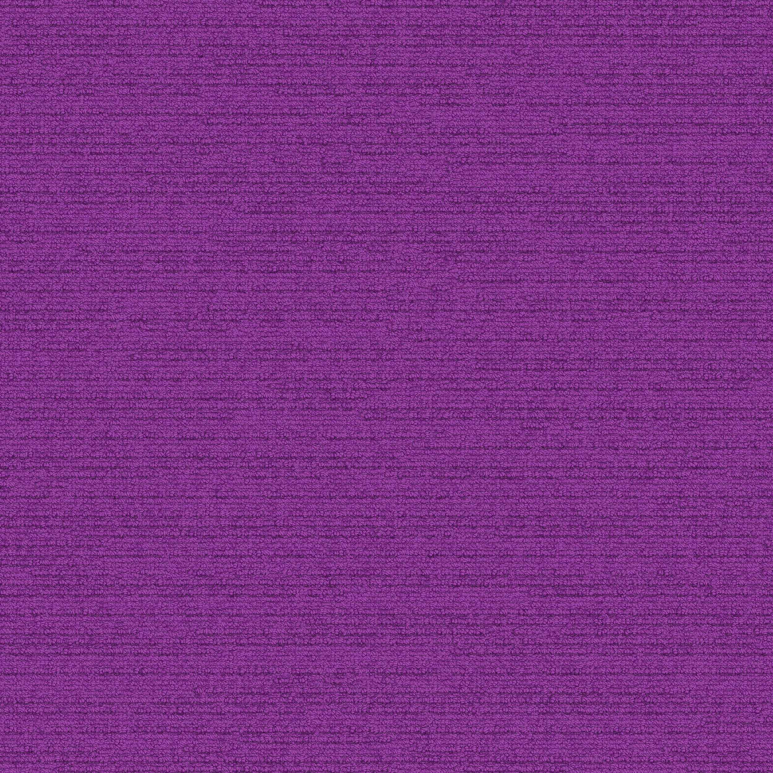 Viva Colores Carpet Tile In Violeta image number 9