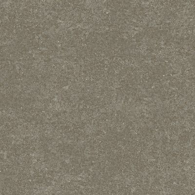 Walk Of Life LVT In Pumice