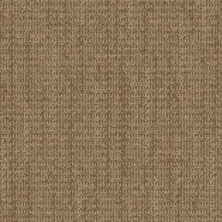 WG100 Carpet Tile in Amber