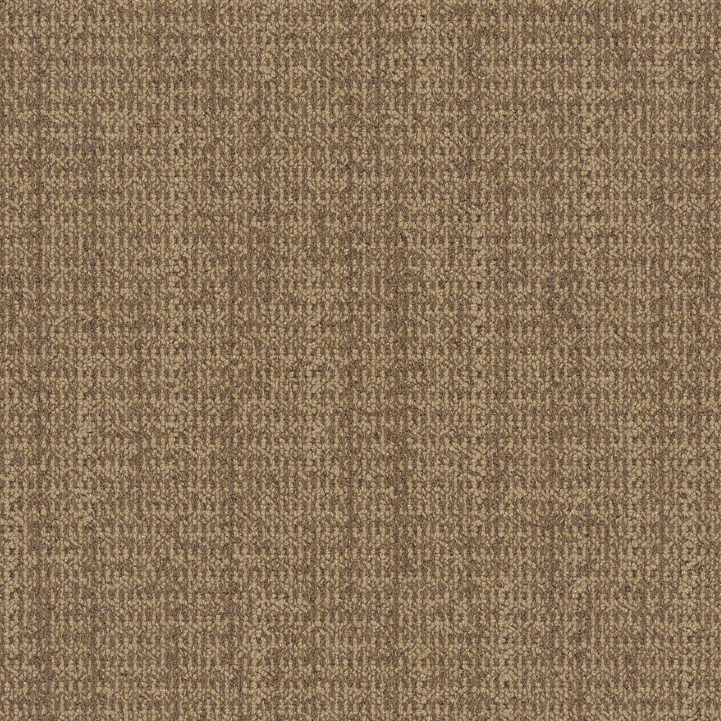 WG100 Carpet Tile in Amber imagen número 12