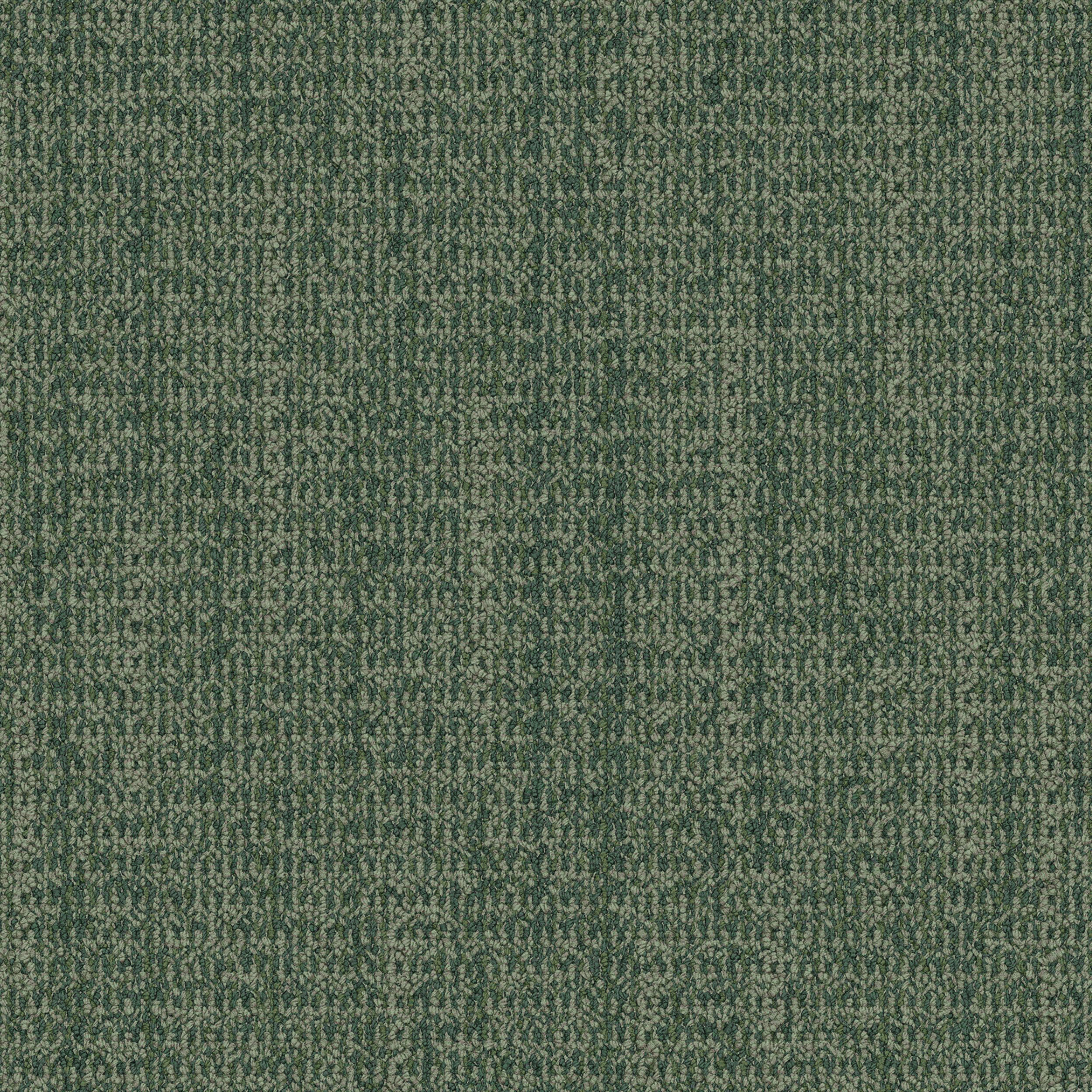 WG100 Carpet Tile In Forest Bildnummer 1