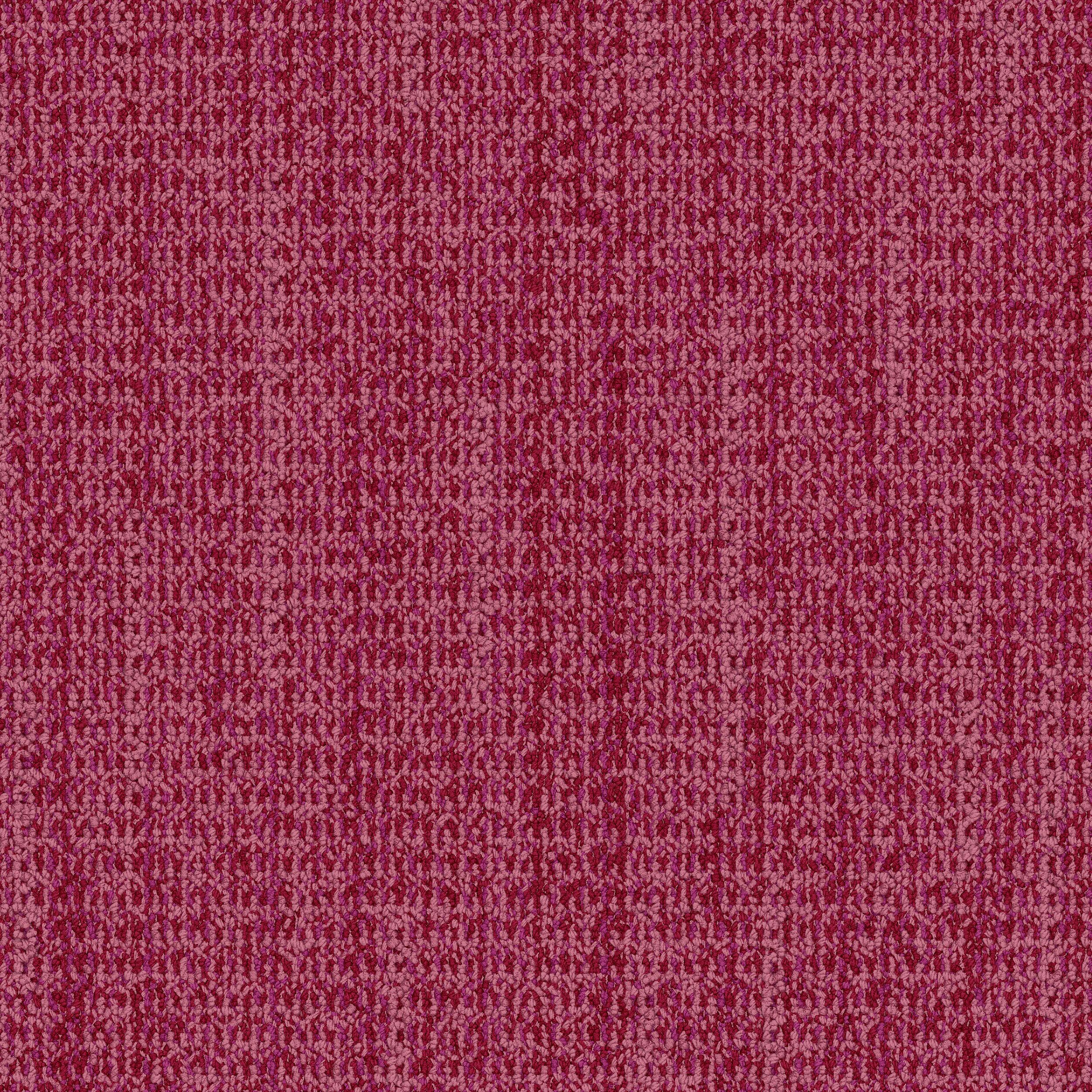 WG100 Carpet Tile In Rose image number 1
