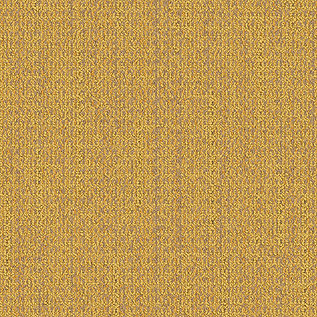 WG100 Carpet Tile In Sunrise Bildnummer 1