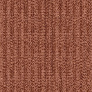 WG100 Carpet Tile In Terracotta