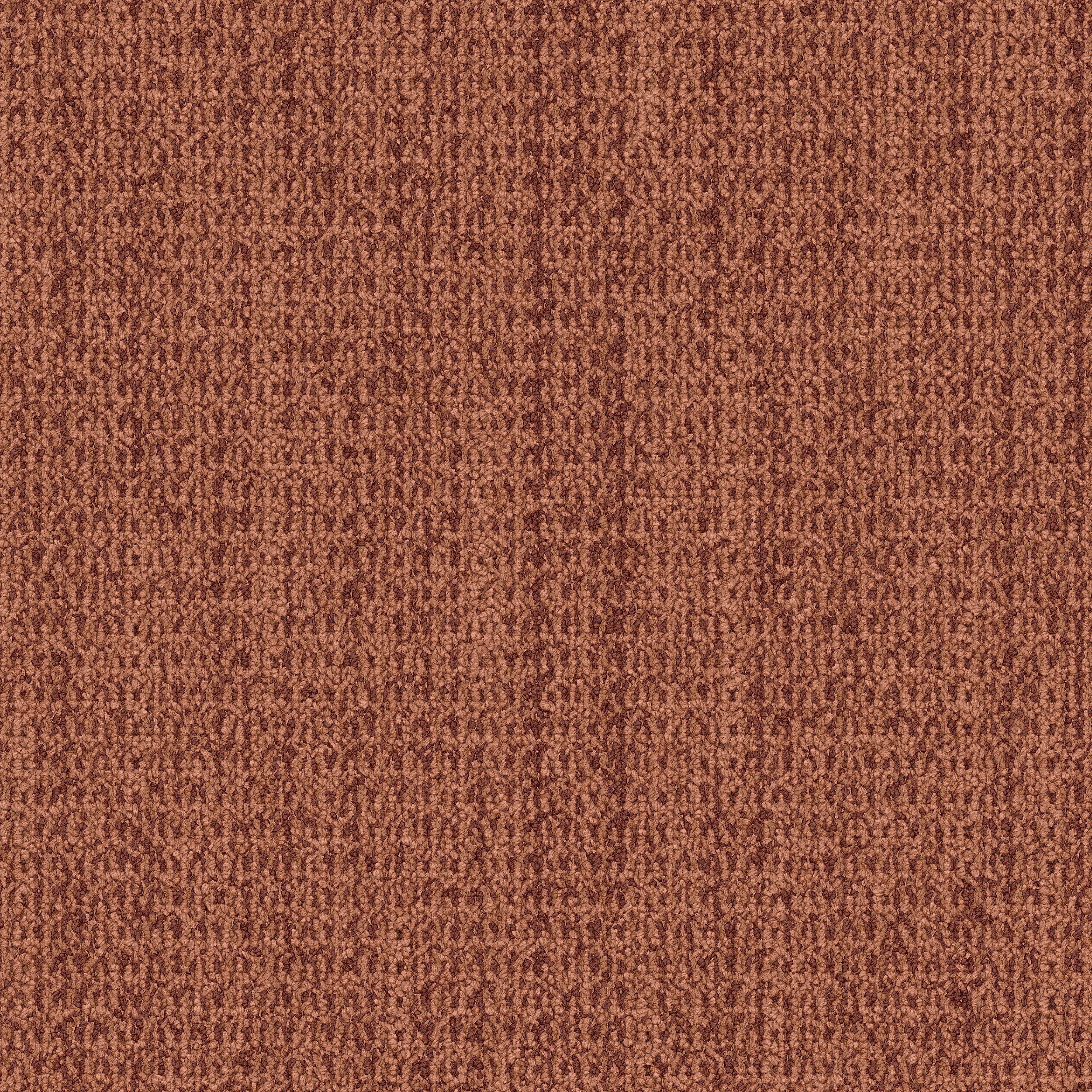 WG100 Carpet Tile In Terracotta Bildnummer 1
