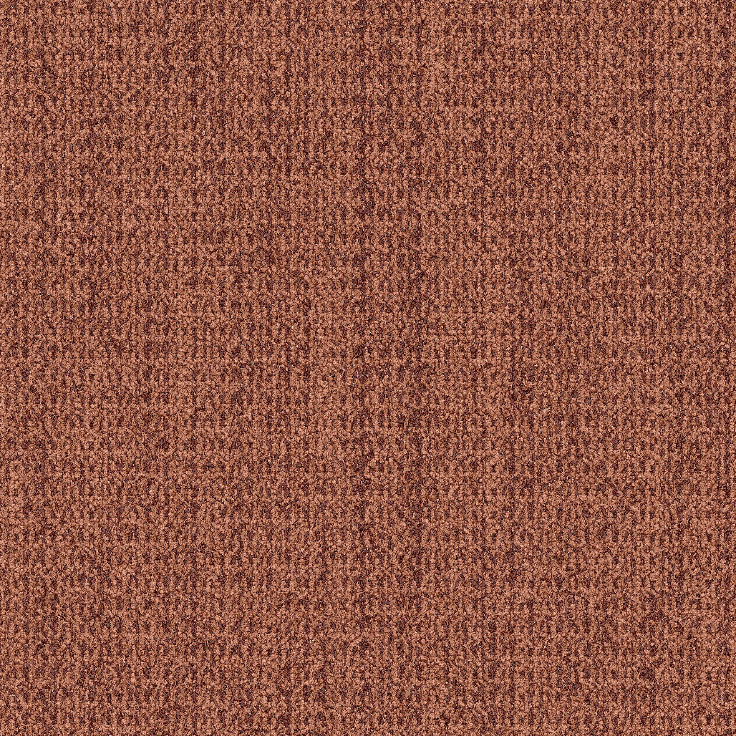 WG100 Carpet Tile In Terracotta image number 11