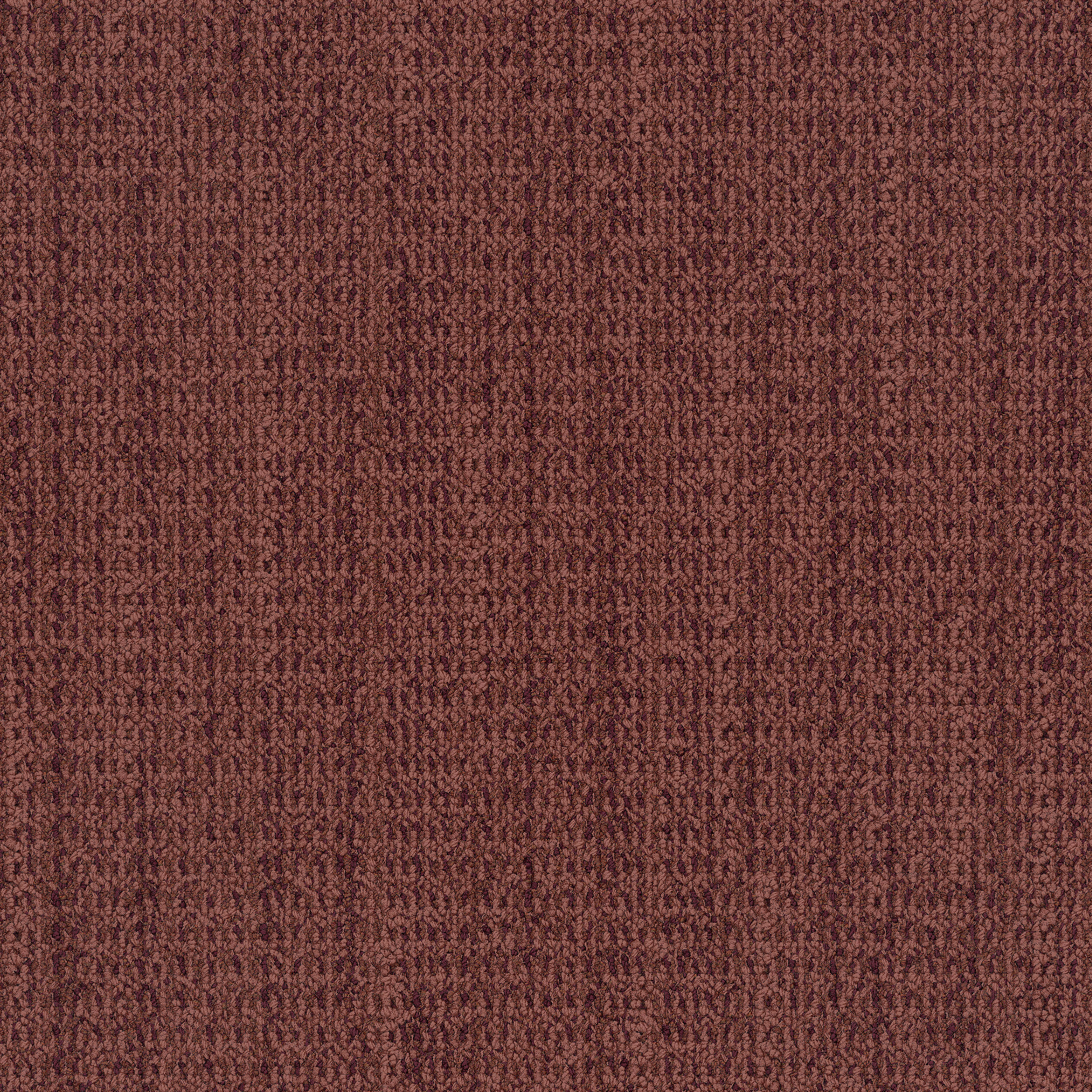 WG100 Carpet Tile in Wild Currant image number 12
