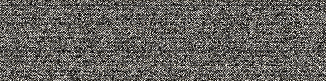 WW860 Carpet Tile In Charcoal Tweed imagen número 13