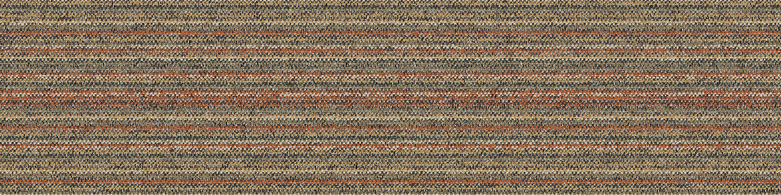 image WW865 Carpet Tile In Autumn Warp numéro 9