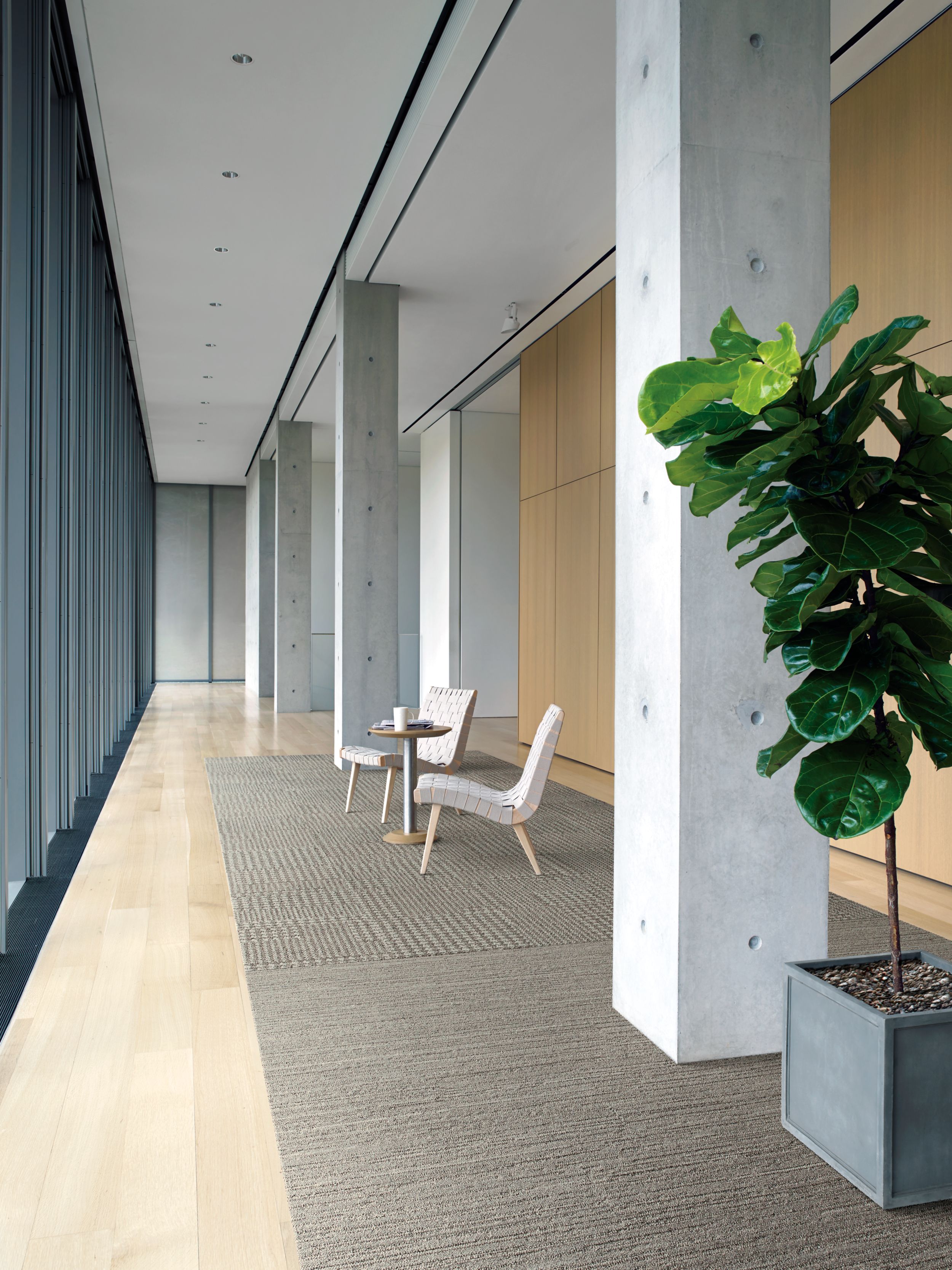 image Interface WW880 plank carpet tile and Collins Cottage Flor carpet tile in office lobby area  numéro 3