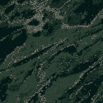 Zera carpet tile in Pine image number 1