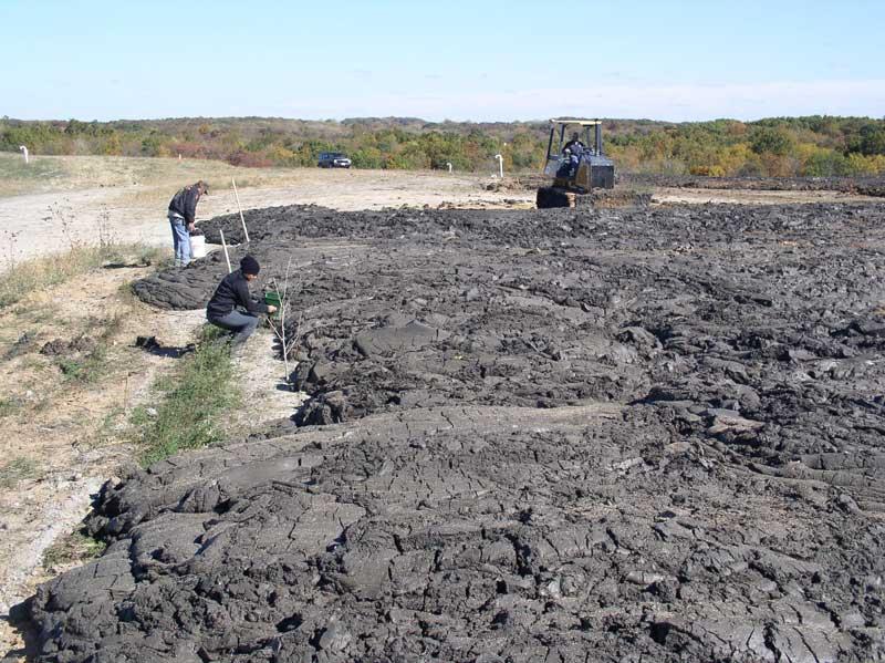 prairie before