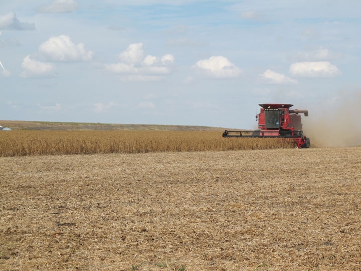 Combining Grain