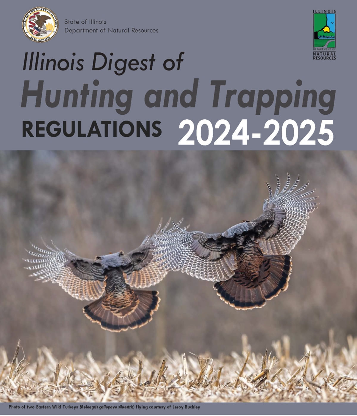 Illinois Deer Season 2025-2025: Ultimate Guide to Successful Hunts