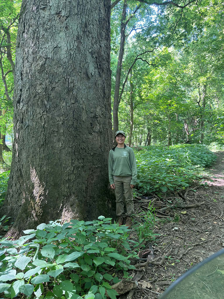 Beall Woods NRC