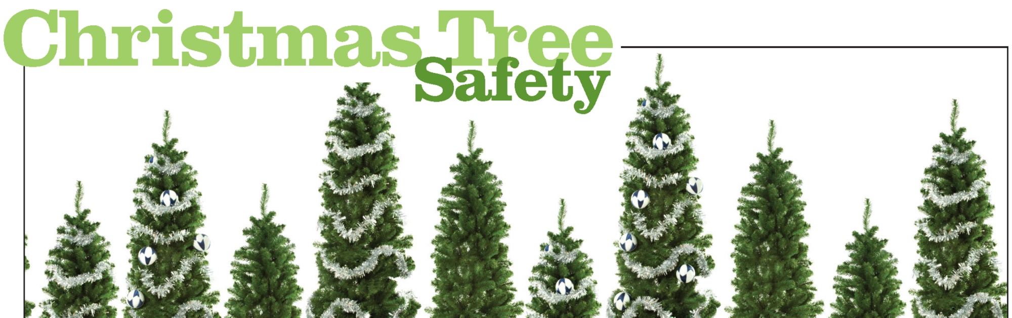 Christmas Tree Safety