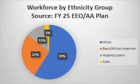 FY2024 Workforce by Ethnicity EEO AA Report Chart