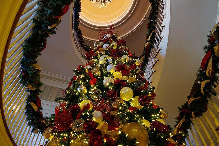 Christmas tree view looking up