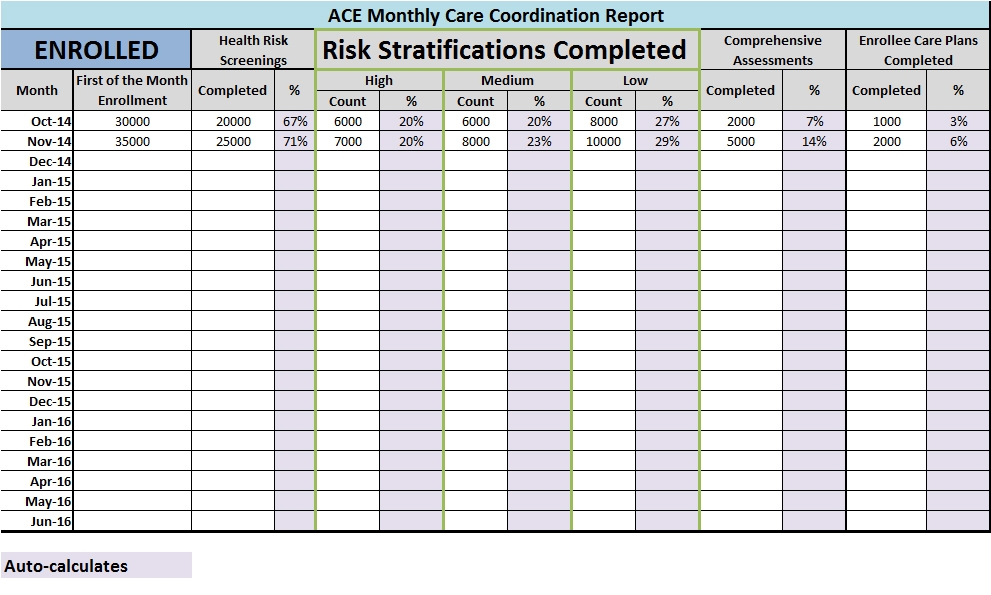 ACE Monthly Care Coordination Report