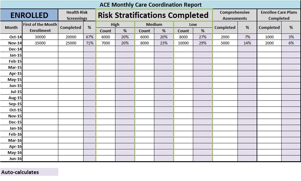 ACE Monthly Care Coordination Report