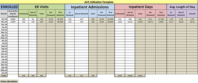 ACE Utilization Template