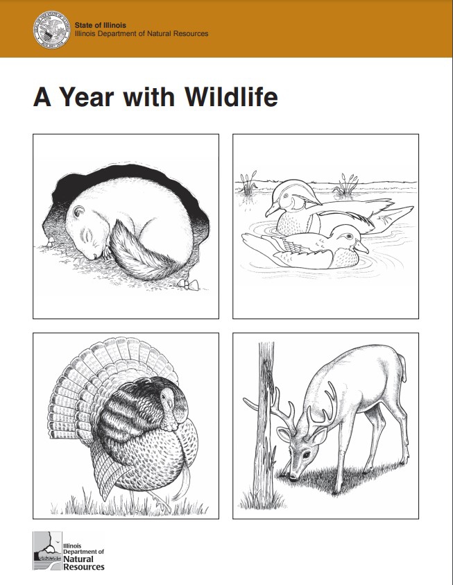 A Year with Wildlife Booklet