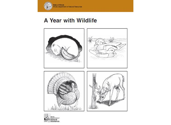 Division of Forestry and Wildlife  Activities: Crafts, Games, Coloring  Books, & More