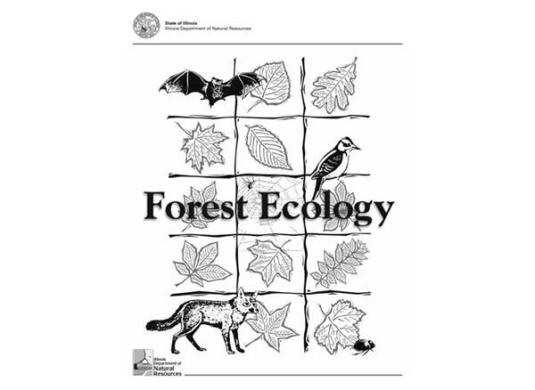 Division of Forestry and Wildlife  Activities: Crafts, Games, Coloring  Books, & More