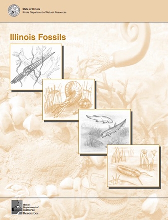 activitybookfossils