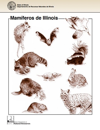 Mamiferos de Illinois