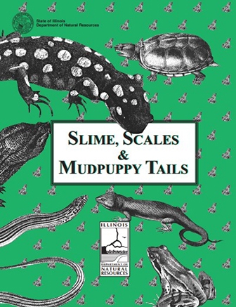 activitybookslimescales