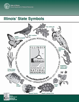 Illinois' State Symbols