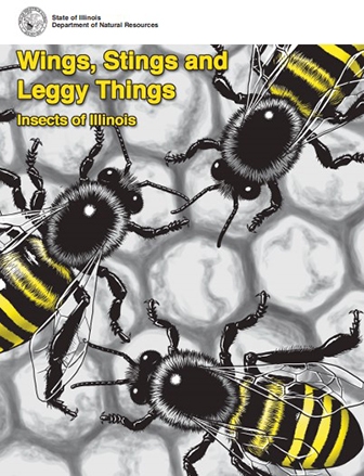 Wings Stings and Leggy Things activity book cover