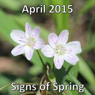 April 2015: Signs of Spring