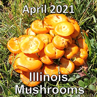 April2021