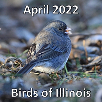 April 2022