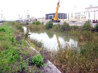 Asian Carp Barrier