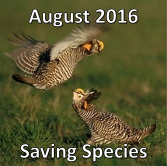 August 2016: Saving Species