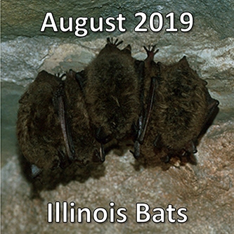 August 2019